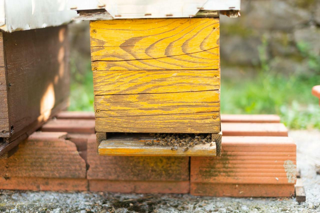 Honey Farm House 威尔帕扎 外观 照片