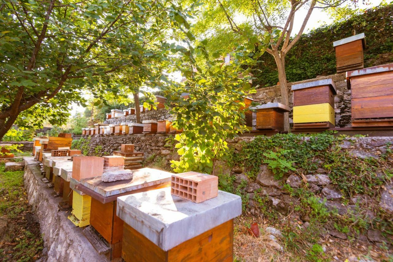 Honey Farm House 威尔帕扎 外观 照片