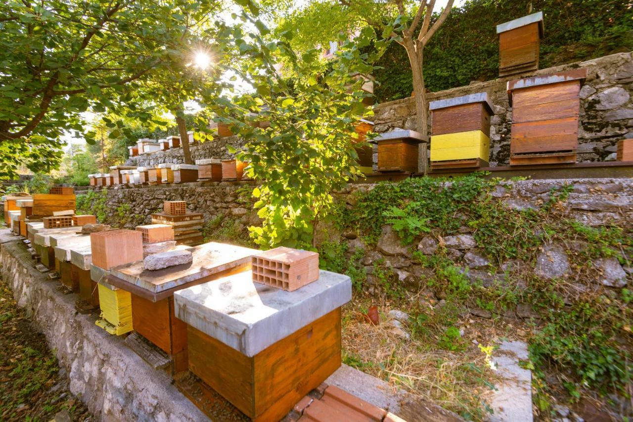 Honey Farm House 威尔帕扎 外观 照片