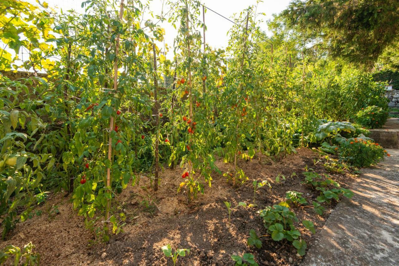 Honey Farm House 威尔帕扎 外观 照片